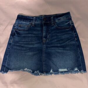 American Eagle Outfitters Skirt 00